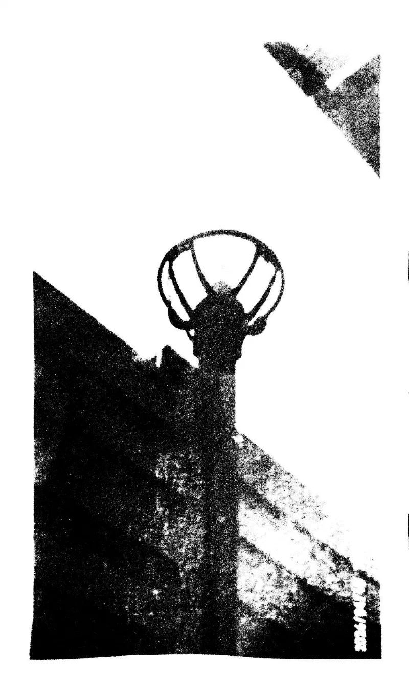 Archive photograph, Photography, 2026