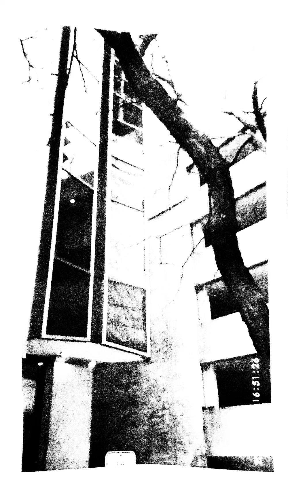 Archive photograph, Photography, 2026