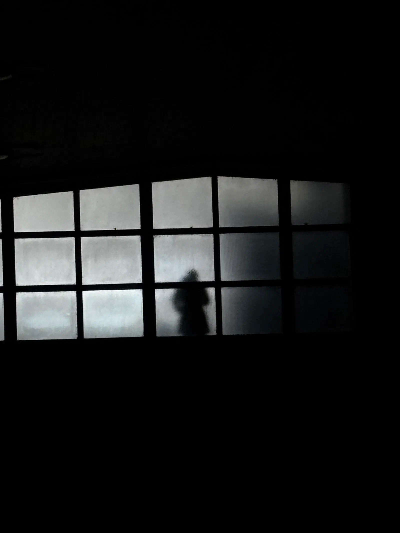 A silhouette behind a frosted window grid, May 2026.