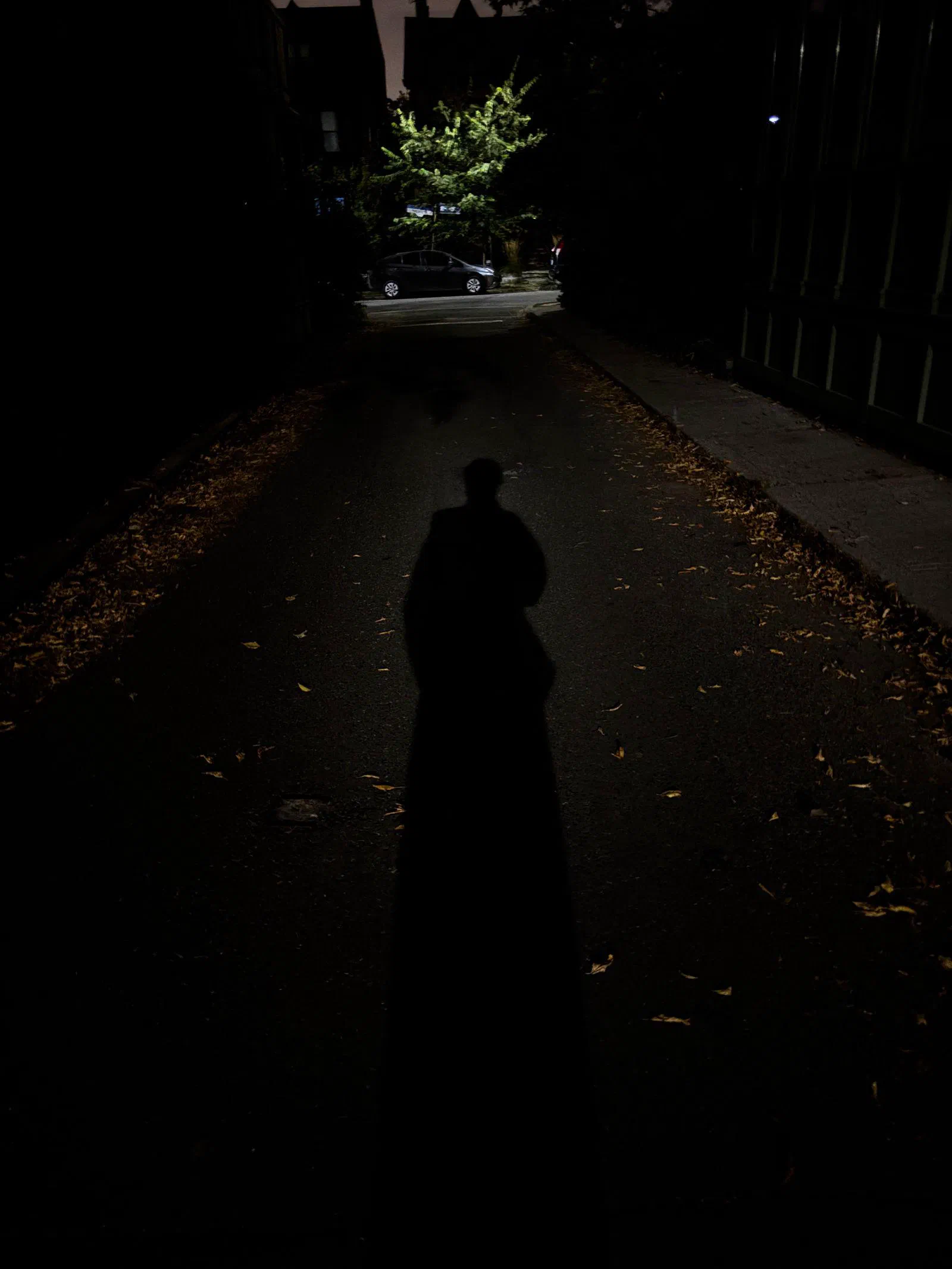 Andrada's own shadow on a dark lane at night, September 2026.