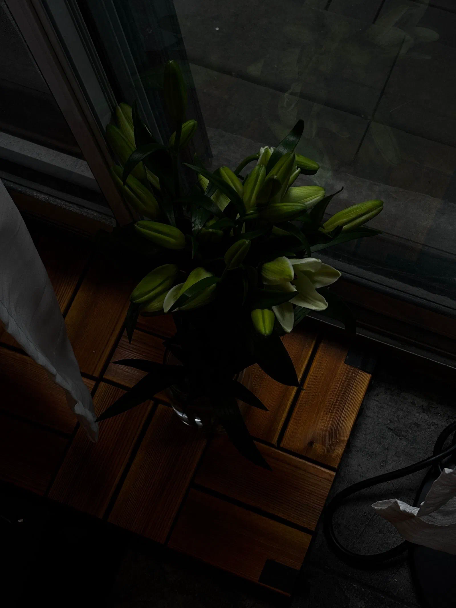 Lilies in a vase by a window, October 2026.