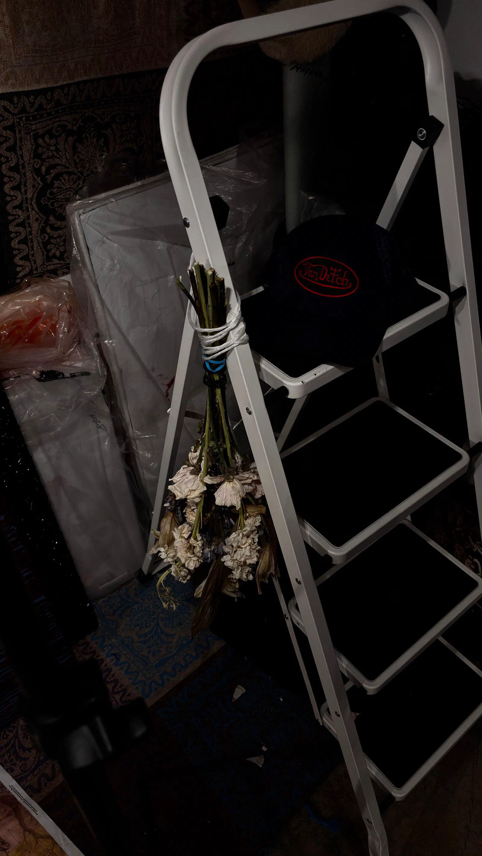 Dried flowers tied to a stepladder in the studio, February 2026.