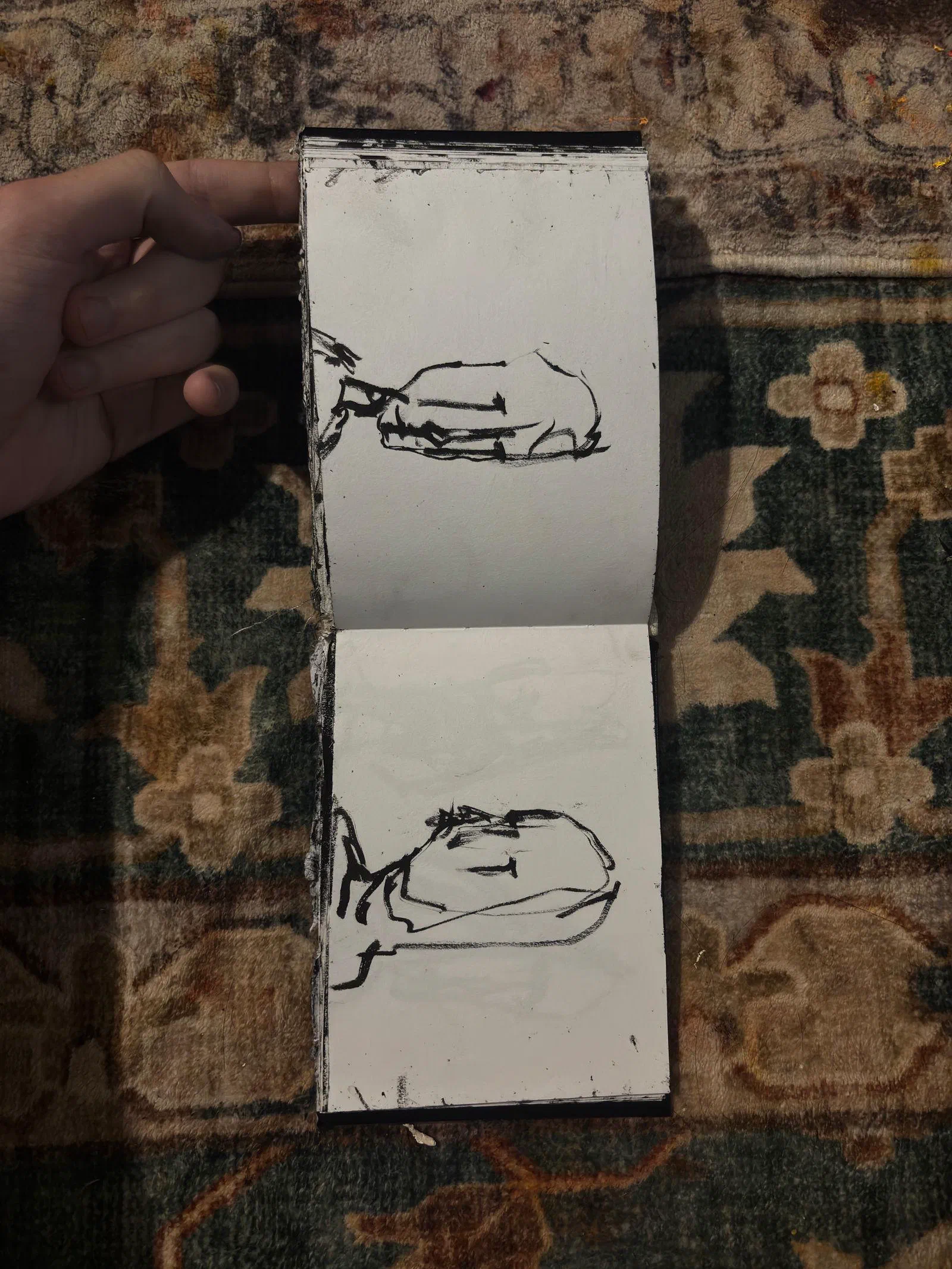 A sketchbook spread: two heads lying sideways, August 2026.